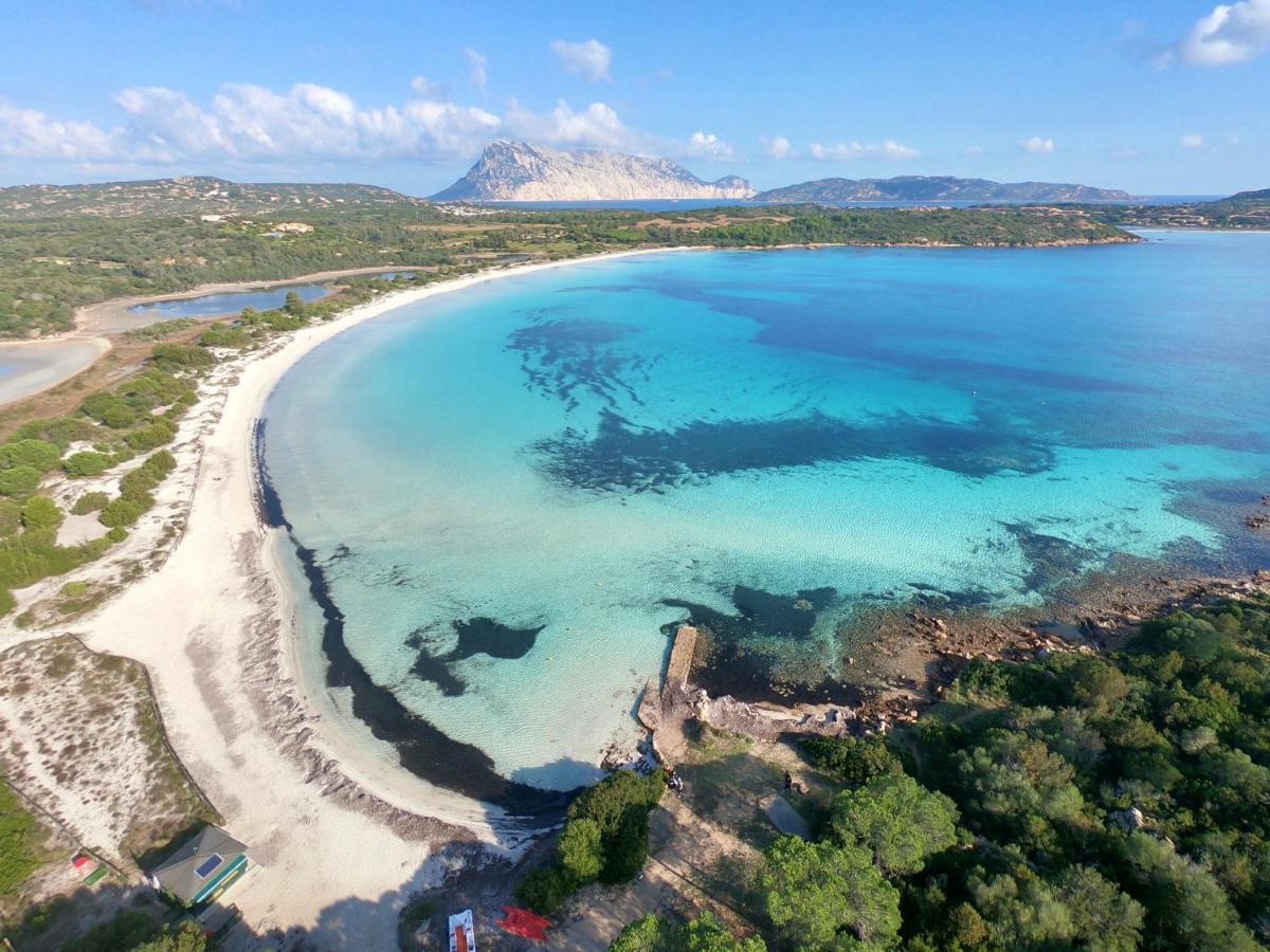 Iss Travel, Gli Asfodeli - Large Apartments With Private Terrace San Teodoro  Bagian luar foto